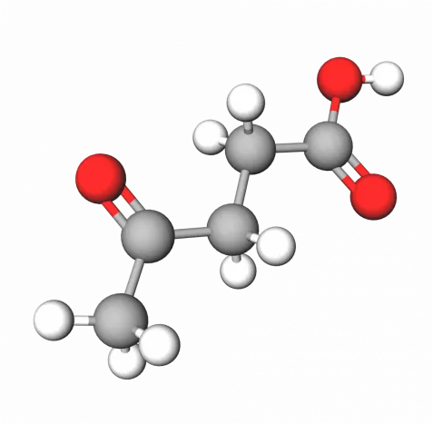 Levulinic acid and Sodium levulinate