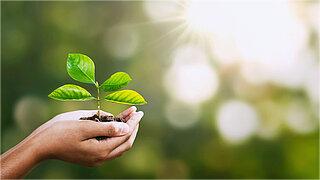 Green and Eco-friendly New Choices: levulinic acid